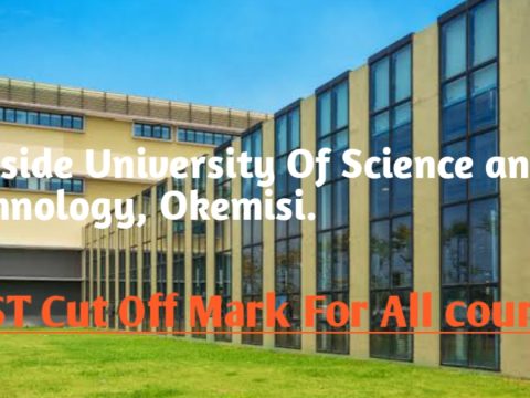 Hillside University Cut Off Mark For All courses