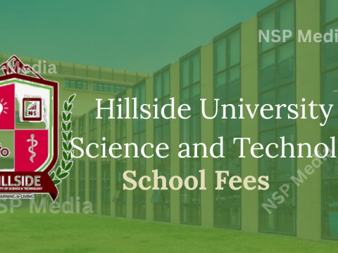 Hillside University School Fees